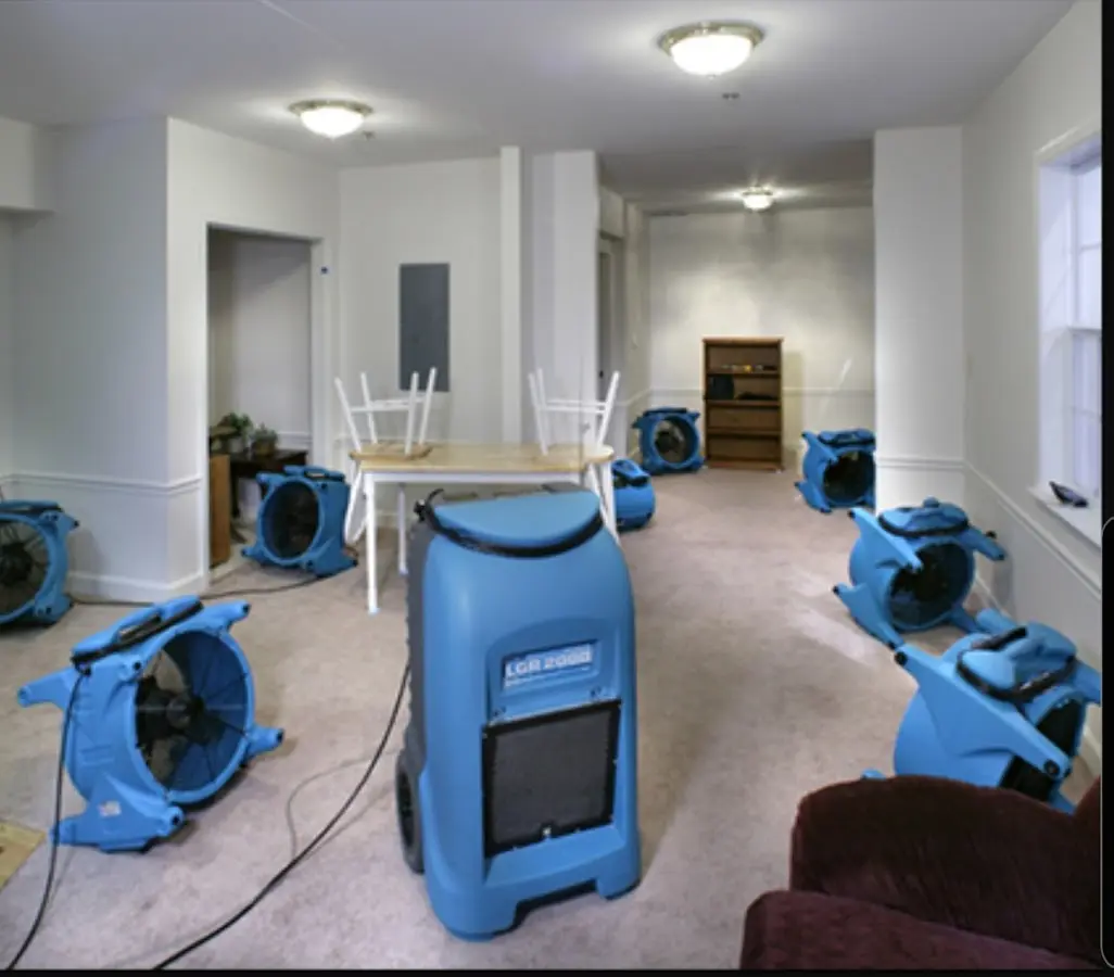Air movers and dehumidifier setup for Water Extraction & Removal in Airmont